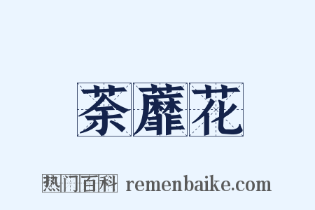 荼蘼花是什么意思的图片